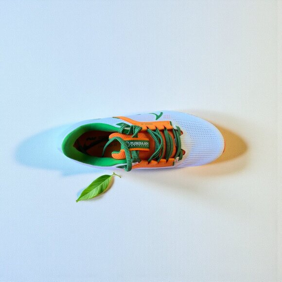 Nike Florida A&M University Rattlers Zoom Pegasus 40 Running Shoe - Unisex - Picture 5 of 11